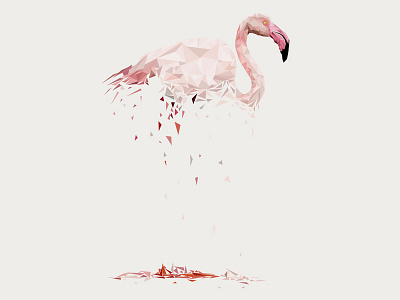 flamingo