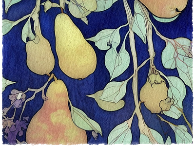 Pears associate good creative market design digital floral graphic design illustration indigo watercolor