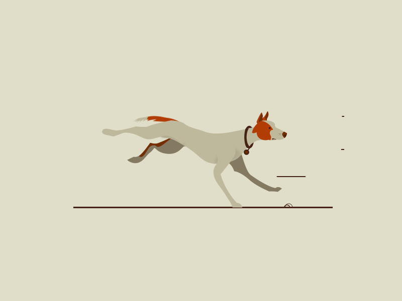 Running dog 2d after effects animation dog run