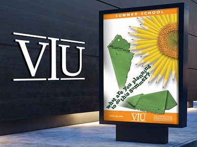 VIU - Virginia International University Summer School Poster board branding brochure collage design education flyer graphic design poster summerschool viu