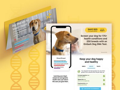 Dog DNA Brochure brochure direct mail dna dogs photoshop print science veterinary