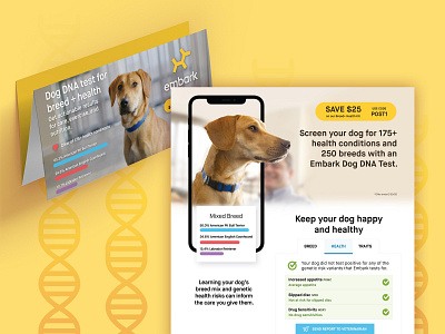 Dog DNA Brochure