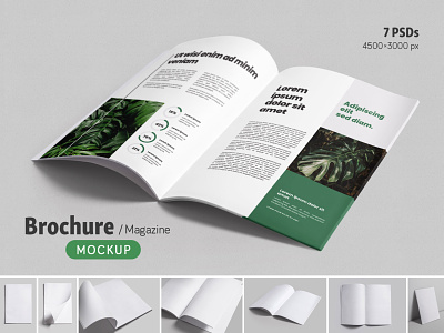Brochure / Magazine Mockups bifold blank magazine branding brochure brochure mockup brochure template creator magazine magazine page mock-up mockup mockups opened paper mockup print mockup psd psd template realistic two pages