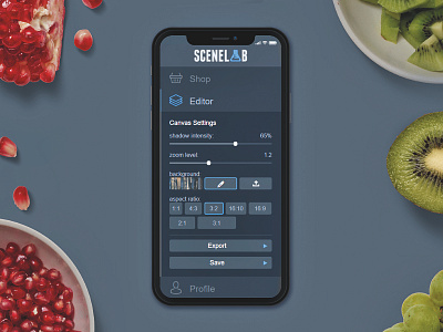 SceneLab Editor Widget app canvas flatlay interface mobile mockup online responsive scene scenelab ui webapp