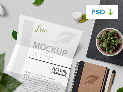 Free Nature Branding Mockup Scene a4 branddesign branding cactus free freebie leaves letterhead menu mock up mockup nature notebook paper print printmockup psd scene sheet template