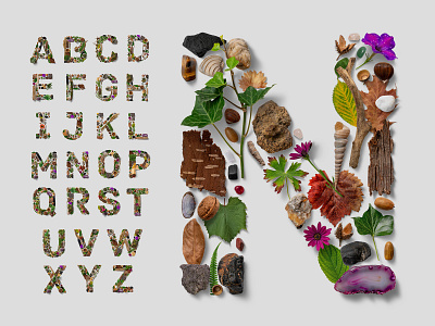 Flatlay Nature Alphabet abc alphabet autumn flatlay floral font isolated leaves lettering letters nature nature logo png realistic scene spring transparent typo typography