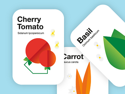 Minimal Vegetable Cards