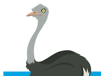 Theodore, the ostrich. illustration ostrich