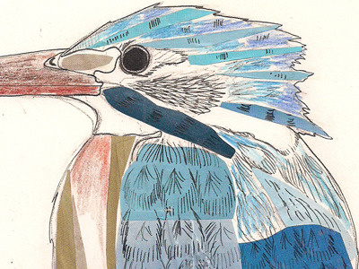 Kingfisher collage illustration