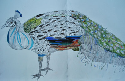 Peacock collage illustration