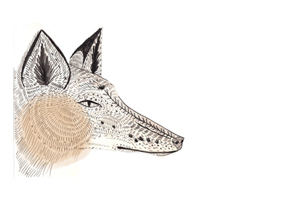 fox design drawing graphite illustration pencil