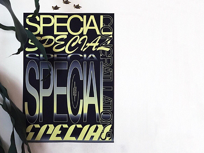 Special Congrats Poster poster typography