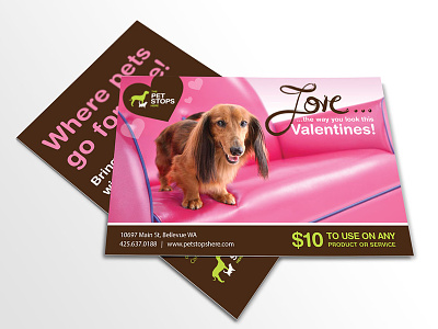 The Pet Stops Here Valentine's Day Mailer design direct mail marketing pet grooming print