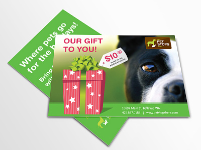 Pet Stops Here Mailer design direct mail marketing pet grooming print