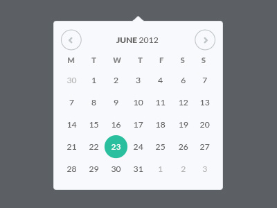 Date Picker Calendar