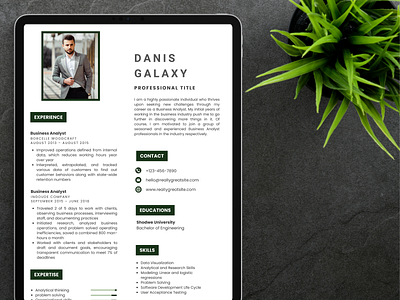 Danis Galaxy Resume Template