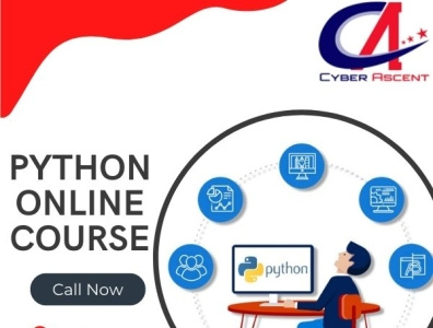 Python Online Course by Cyber Ascent on Dribbble