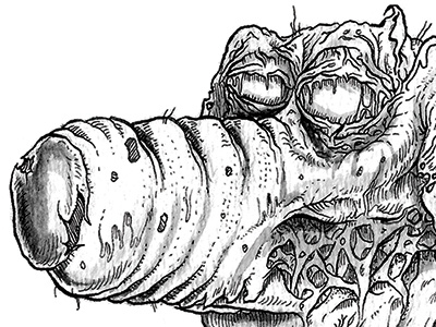 Mans Best Friend pen ink zombie brian family guy dog
