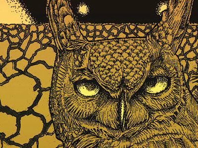 GC Records Album Art - 2014 illustration vinyl album art band art owl gc records