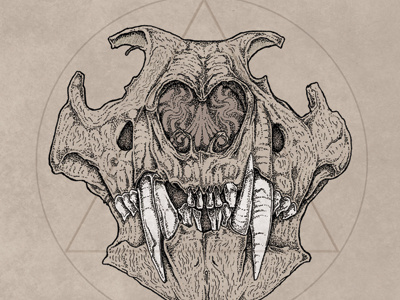 Prowl illustration skull triangle wolf wolf skull
