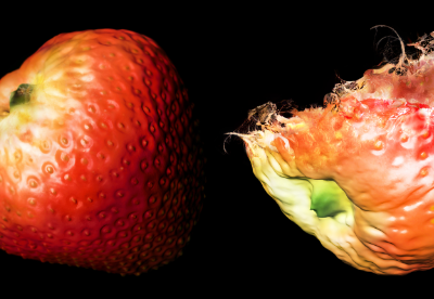 Fruit Transformation 3d rendering drawing fruit render silicone wax