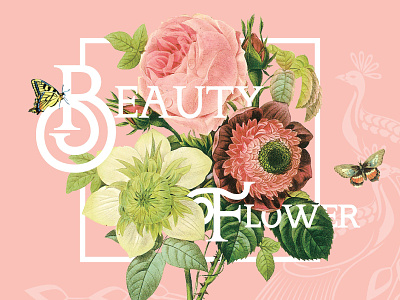 Beauty Flower beauty flower font leaf pink quotes serif ttf typography