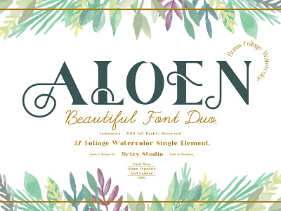 Aloen Beautiful Font Duo beautiful design dribbble flower font font duo logo otf popular type typeface typography watercolor