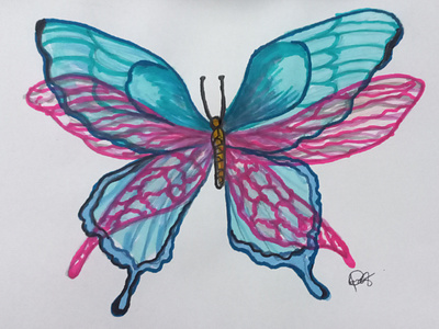 Butterfly illustration 2