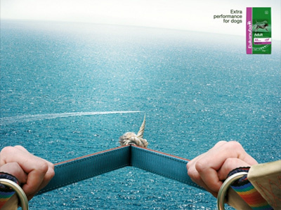 Eukanuba: Parasailing ad advertising concept dog food parasailing performance sea swimming