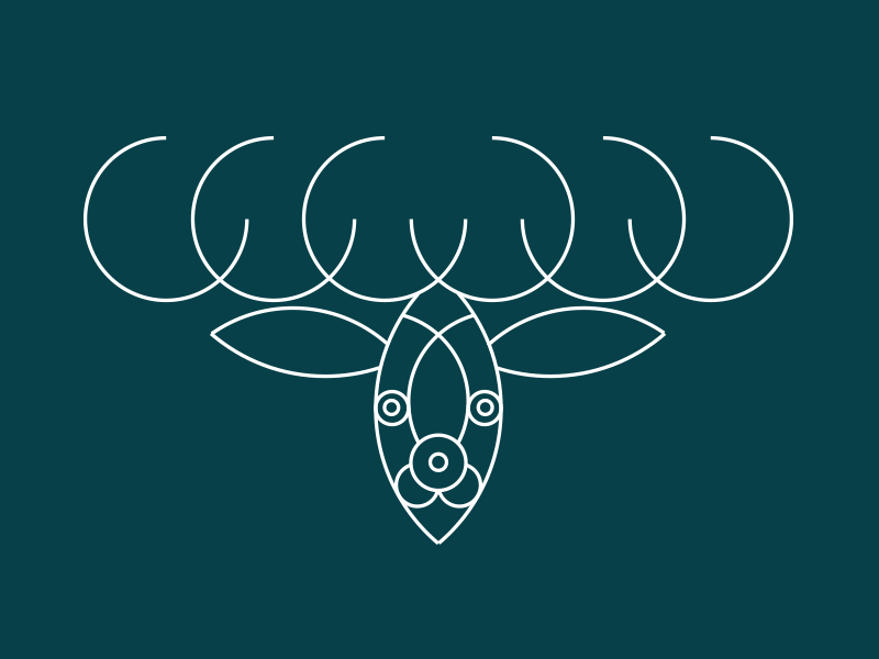 Natural symmetry animation deer fibonacci geometry gif nature outline symmetry