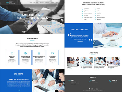 Web design for a software company business company design responsive web