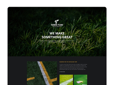 Town Turf Website app branding design illustration logo typography ui ux