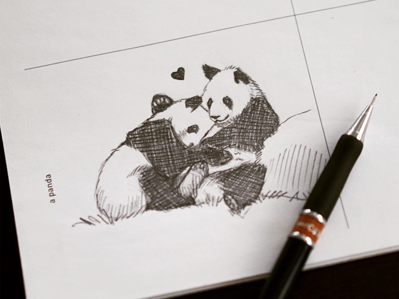 Black and white Giant Panda pencil drawing