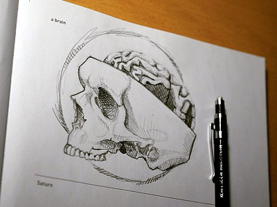 642 Things to Draw - A Brain 642 things to draw brain crosshatch drawing pencil sketch skull