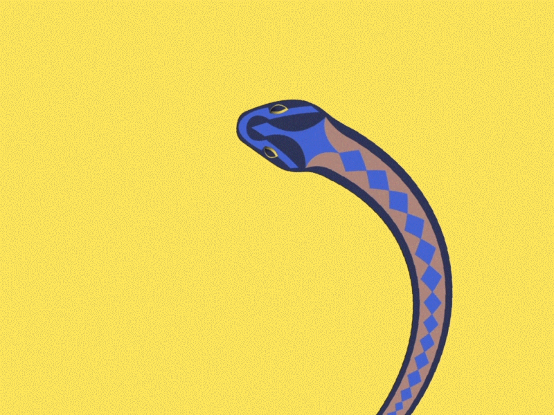 Snake animation flat design illustration snake