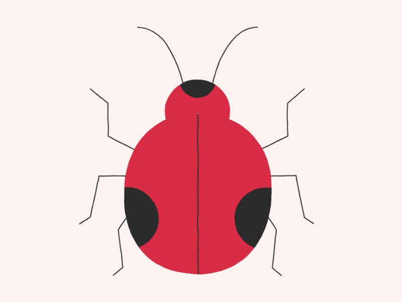 0 / 36 days of type 0 36 days of type animation gif illustration insect ladybird loop motion graphics shapes typography