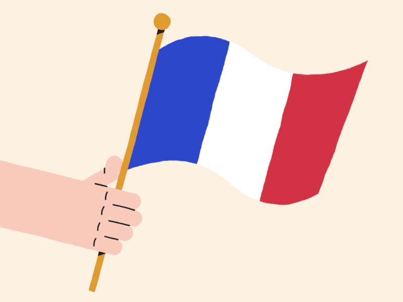 France animation flag france illustration style frame