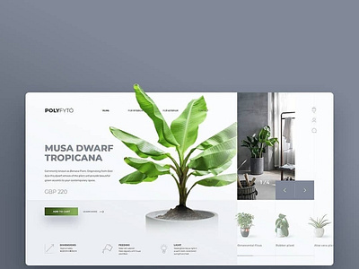 ui website concept for plants branding design graphic design illustration typography ui