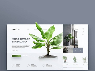 ui website concept  for plants