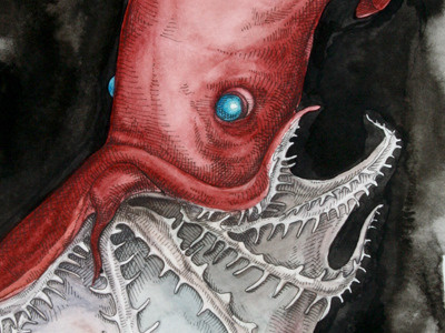Vampire Squid deep sea creature illustration pen and ink vampire squid watercolor