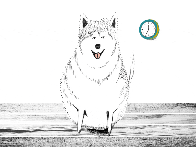 inktober day 6: HUSKY 2d animation after effects animated gif animation gif illustration inktober inktober2019 loop motion graphics photoshop