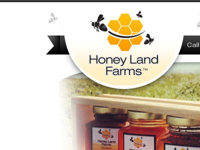 Honey Land Farms Email branding custom photos email logo