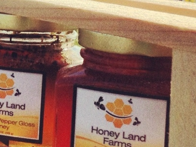 Honey Land Farms Multiple Product Shot branding honey label logo packaging photos