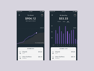 Finance/Budgeting App budgets charts data data visualization graphs ios ui