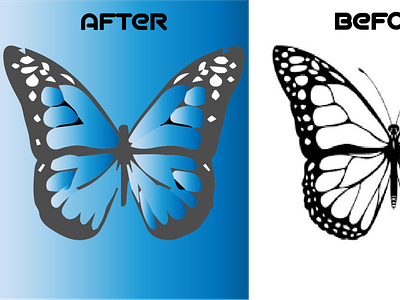 Redraw butterfly sketch to vector of detailed work