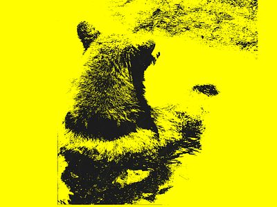 Bear graphic design photoshop