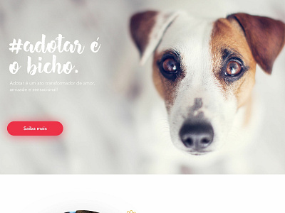 Meu Pet design interface design ui ux web design