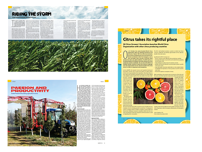 Layout design for Harvest SA magazine