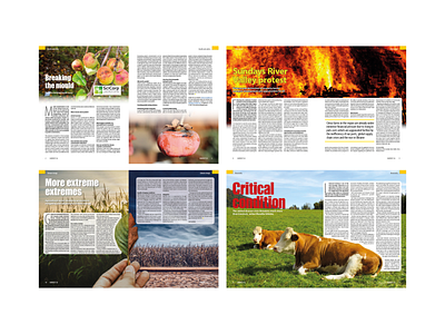 Layout design for Harvest SA magazine design editorial editorialdesign freelacer freelancedesign graphic design graphicdesigner indesign layout magazine magazinelayout phptoshop