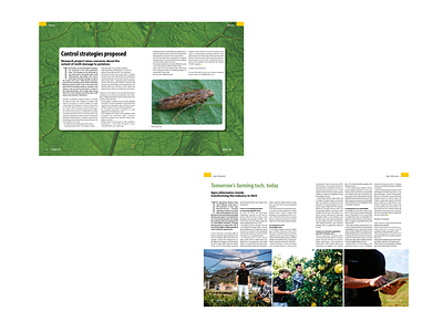 Layout design for Harvest SA magazine design designlayout editorial editorialdesign freelacer freelancedesign graphic design graphicdesigner indesign layout magazinedesign magazinelayout